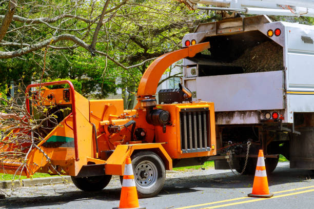  Bridgeport, MI Tree Care Services Pros