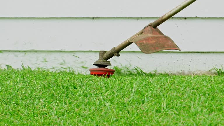 Best Grass Overseeding  in Bridgeport, MI