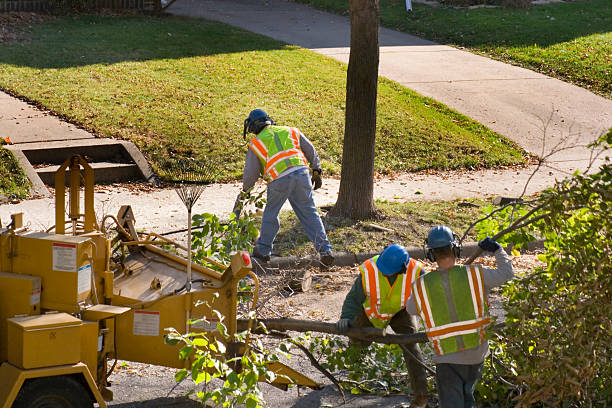 Best Lawn Watering Services  in Bridgeport, MI